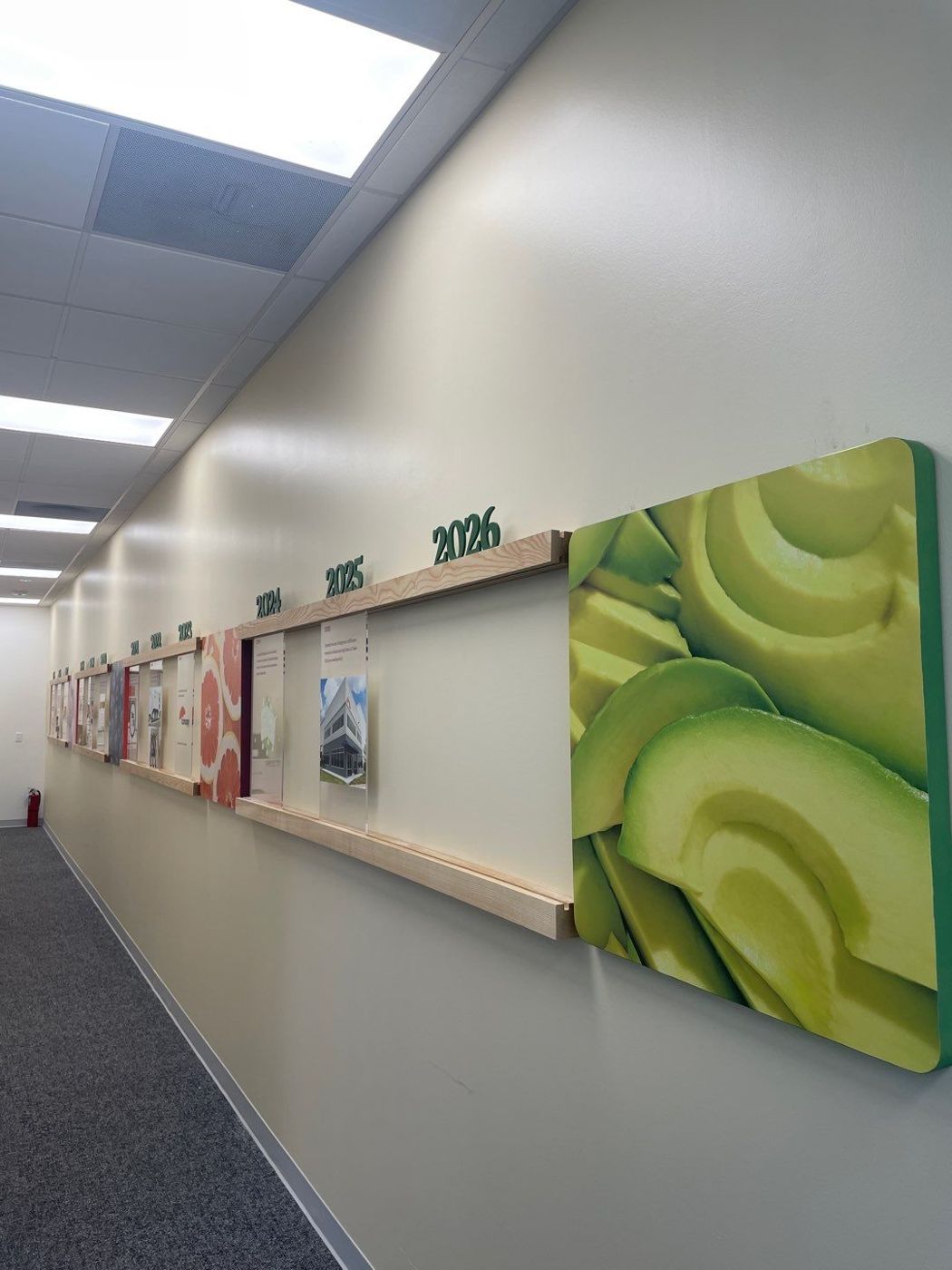Company timeline hallway display with dimensional year markers